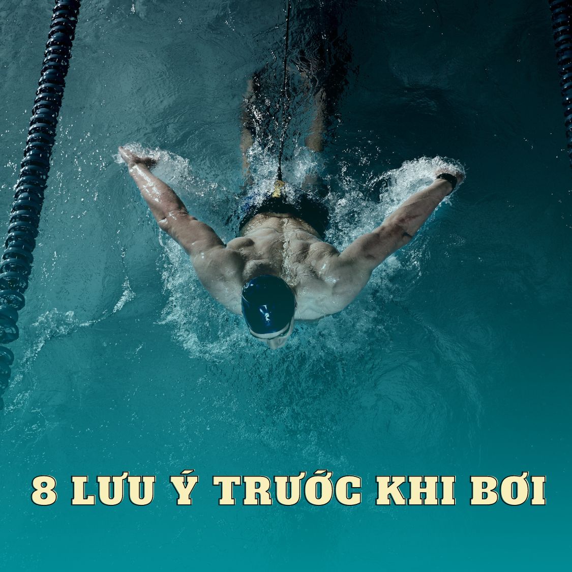 8 điều bạn cần lưu ý trước khi bơi