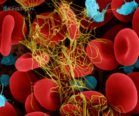 Tầm quan trọng của tăng tuần hoàn máu với sức khỏe 1 Lợi ích bất ngờ từ massage chân cho phụ nữ mang thai