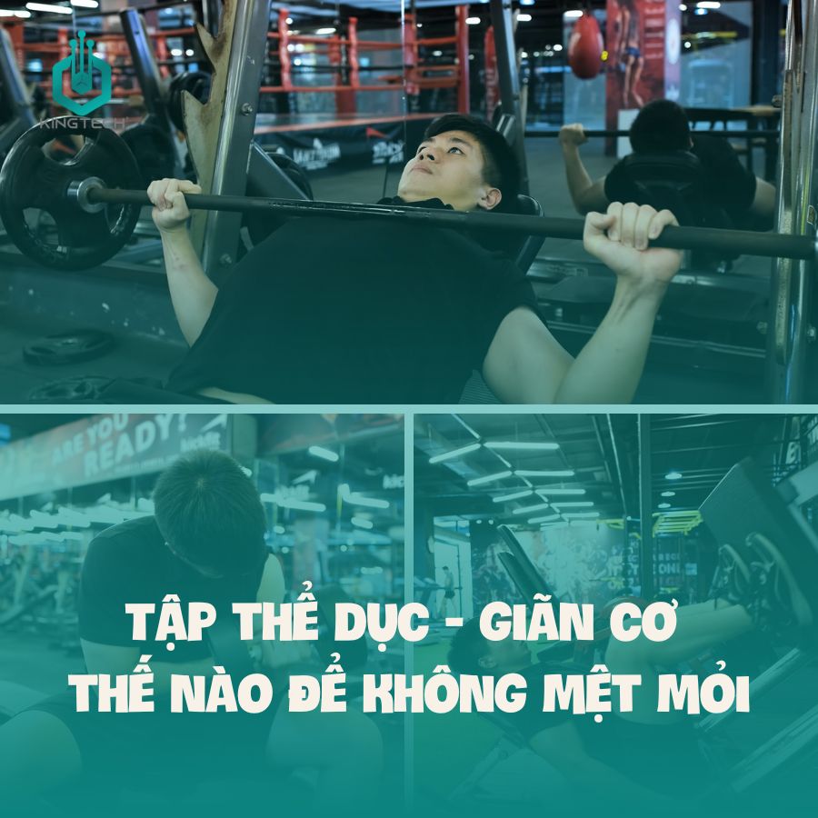 Tập thể dục và giãn cơ thế nào để không mệt mỏi