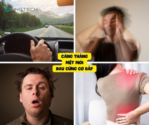 Cách Chống Lại Mệt Mỏi Khi Lái Xe Đường Dài
