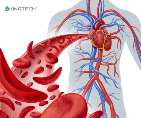 Cách Chống Lại Mệt Mỏi Khi Lái Xe Đường Dài