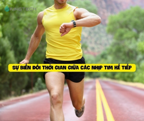 biến thiên nhịp tim