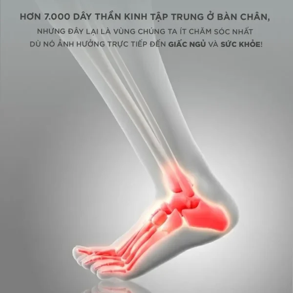 sự quan trọng của bàn chân