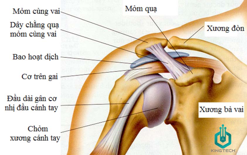 Cách sử dụng súng massage hỗ trợ đau vai.