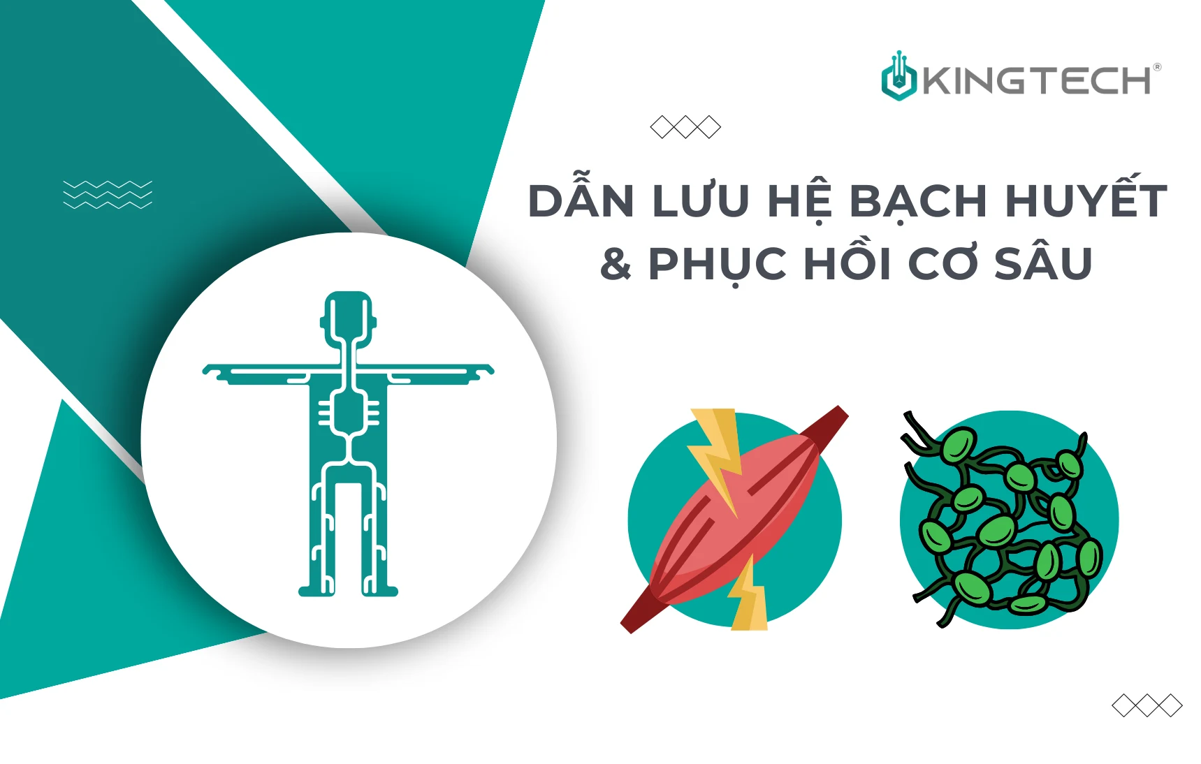 5 nghiên cứu chứng minh lợi ích của máy massage cầm tay