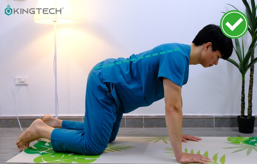 Bài tập chữa võng lưng