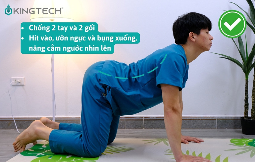 Bài tập chữa võng lưng