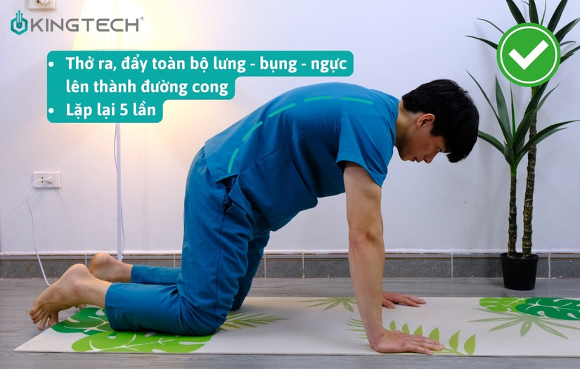 Bài tập chữa võng lưng