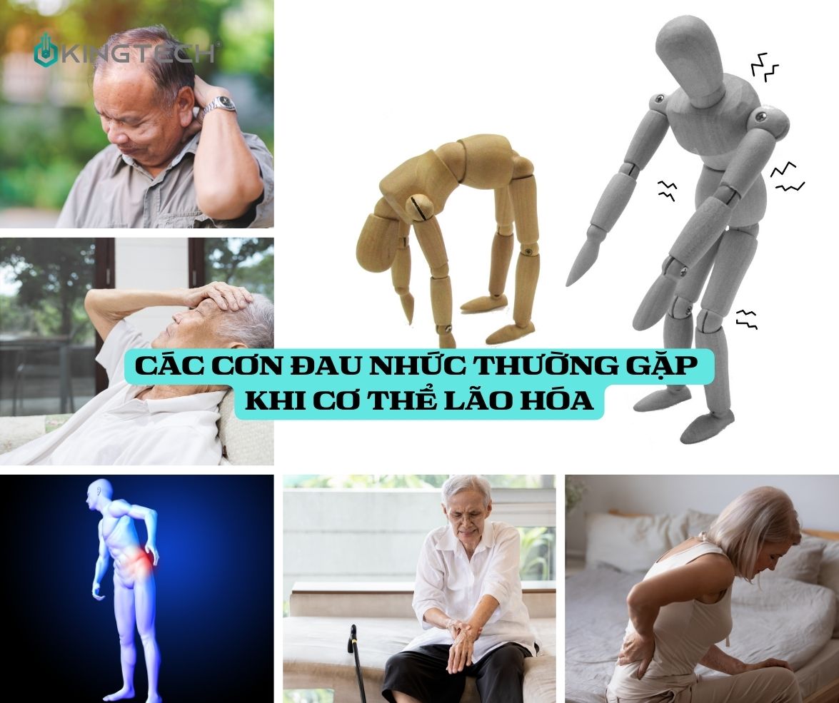 Lão hóa và những cơn đau nhức nguy hiểm