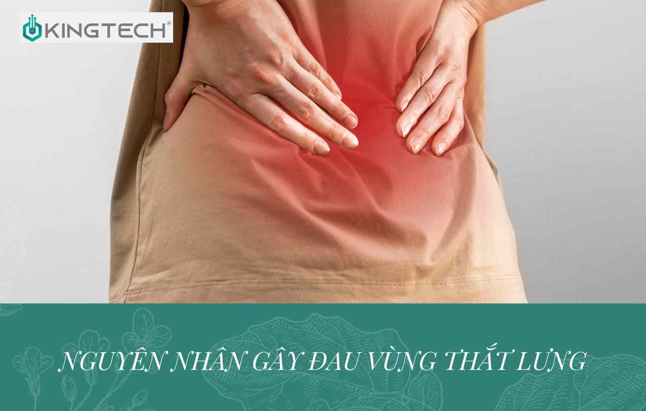Nguyên nhân đau lưng