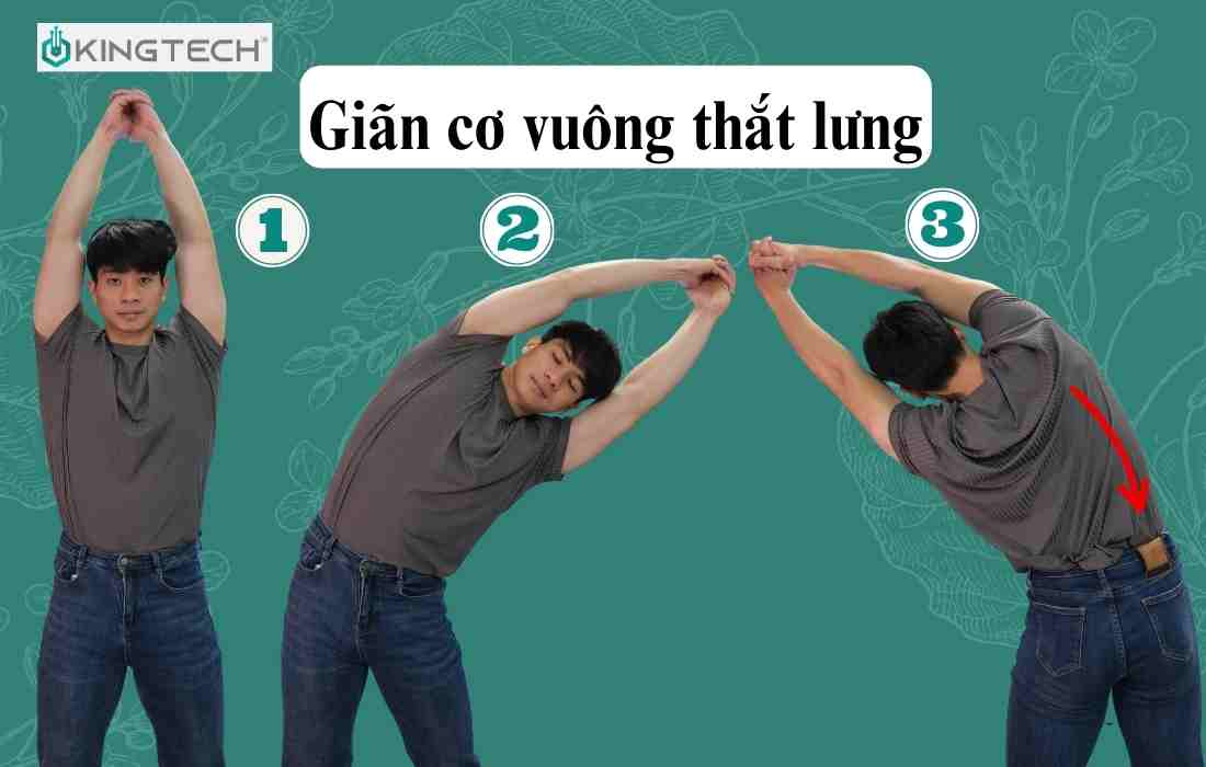 giãn cơ vuông thắt lưng